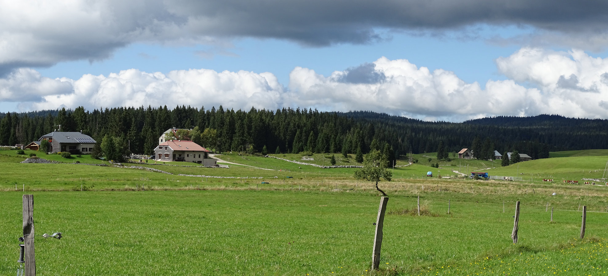 La tour de l'Horloge