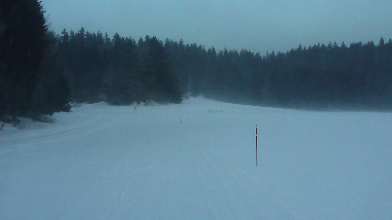 La Bise aux Prés Haut,
chapelledesbois.eu