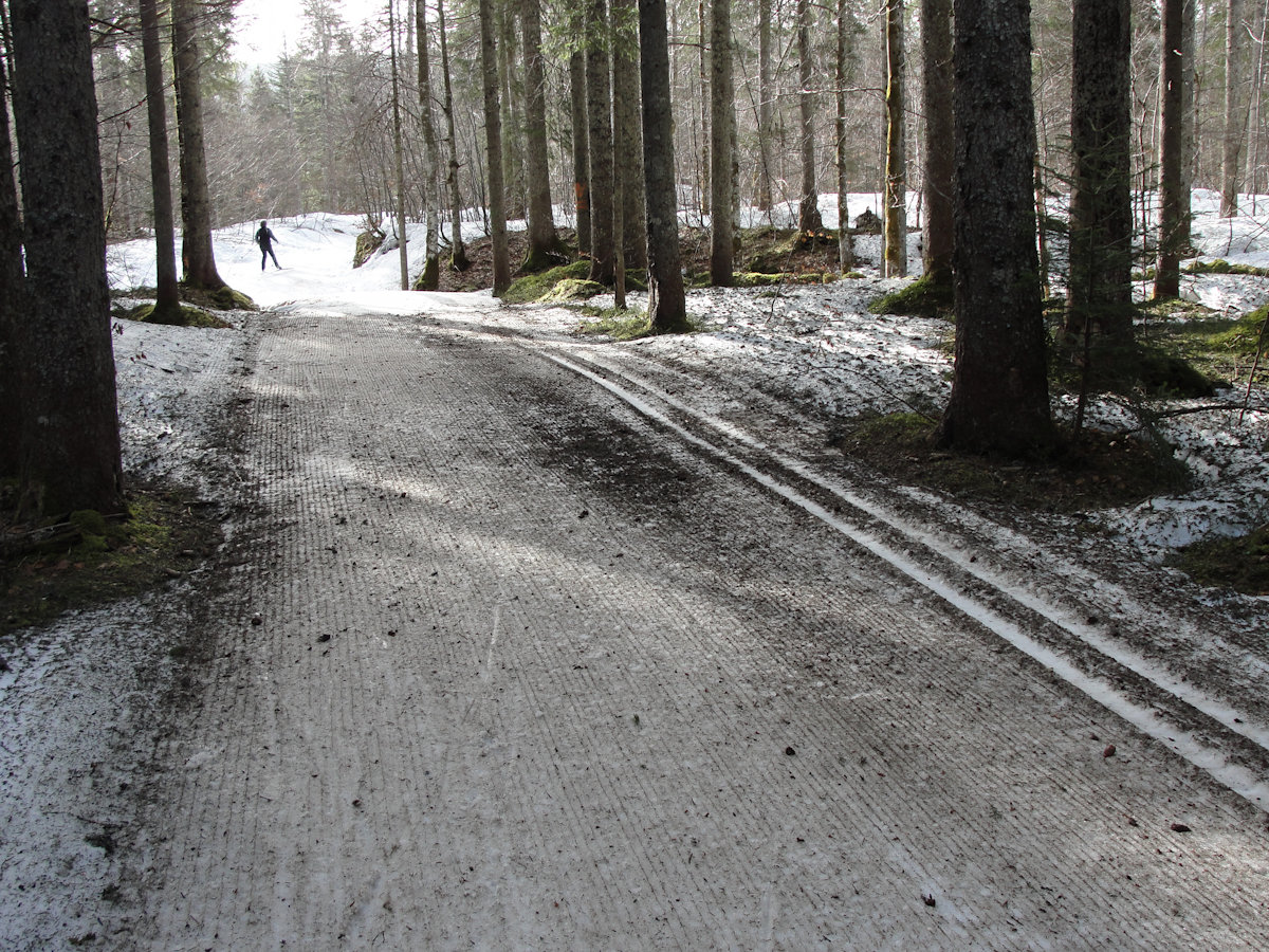 Sous le Risoux, chapelledesbois.eu