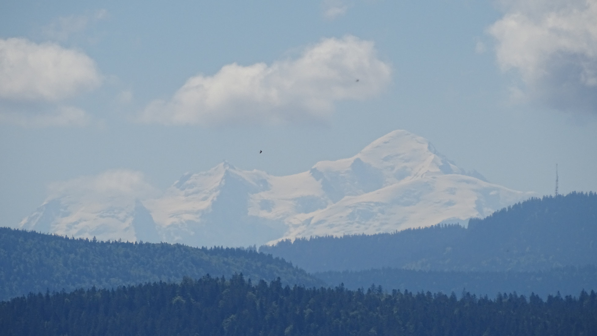 Le massif du Mont Blanc vu du
              Jura