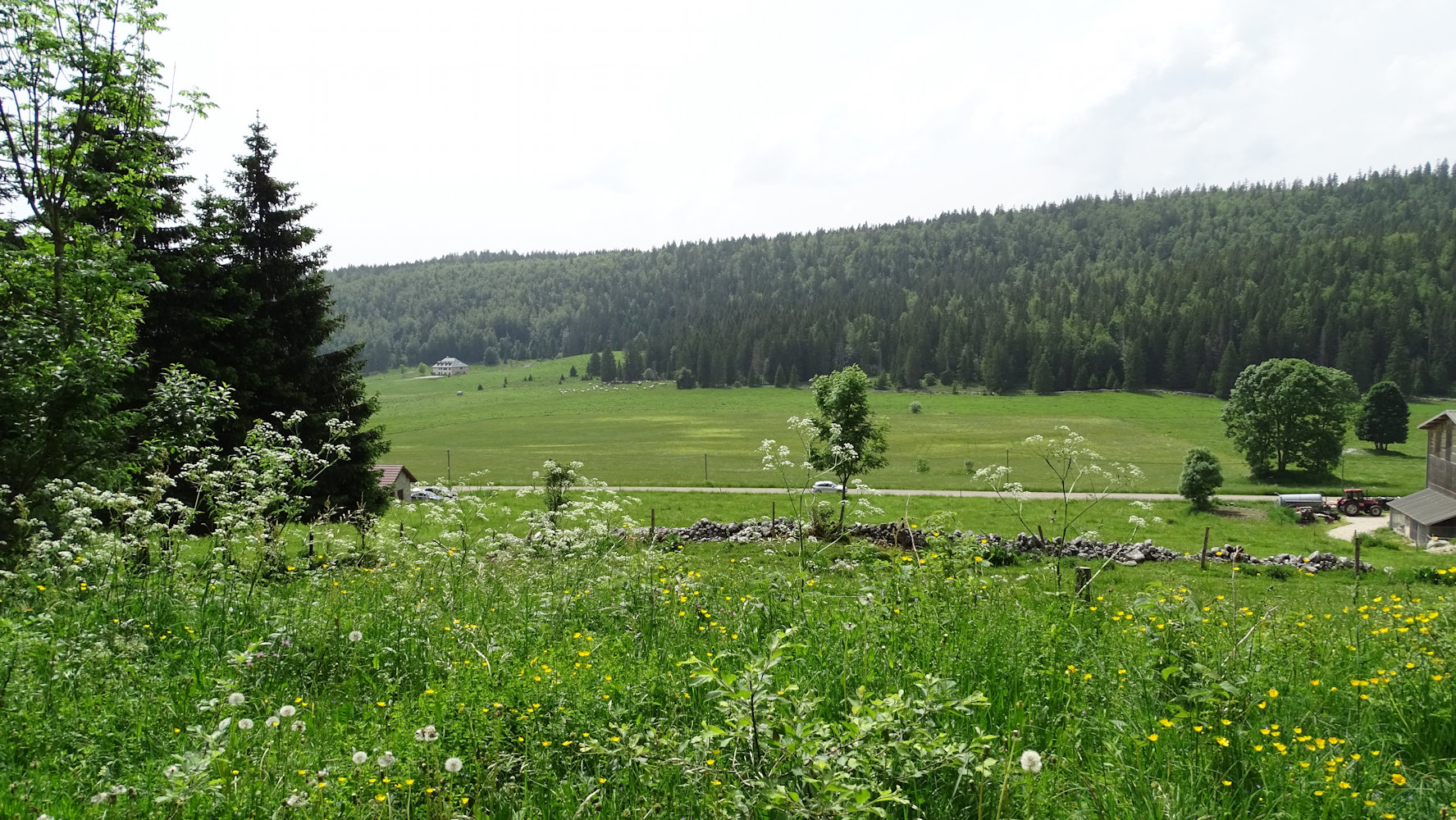 Les lacs du Jura