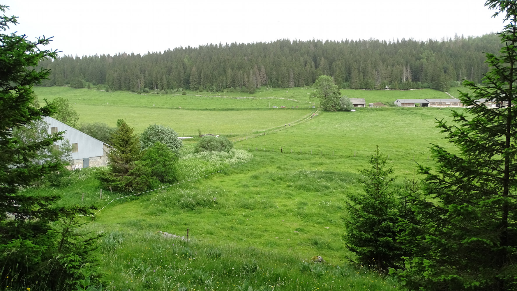 Chapelle des Bois, les Carrias