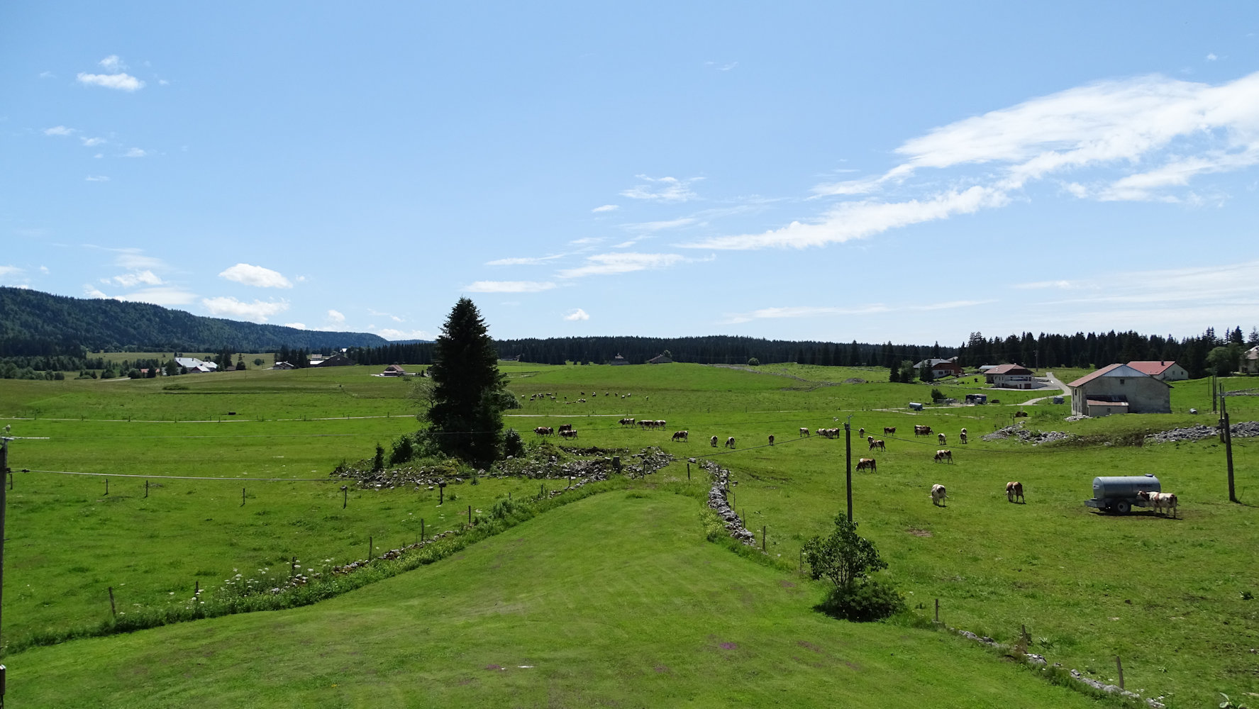 Chapelle des Bois, l'alpage