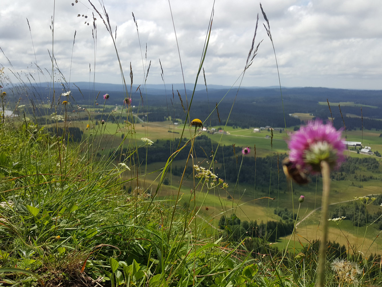 Le massif du Mont Blanc vu du Jura