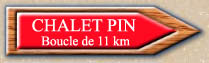 chalet pin